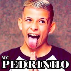 Cover of Mc Pedrinho