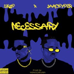 Cover of Necessary
