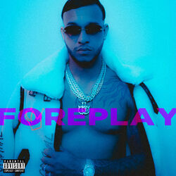 Cover of Foreplay