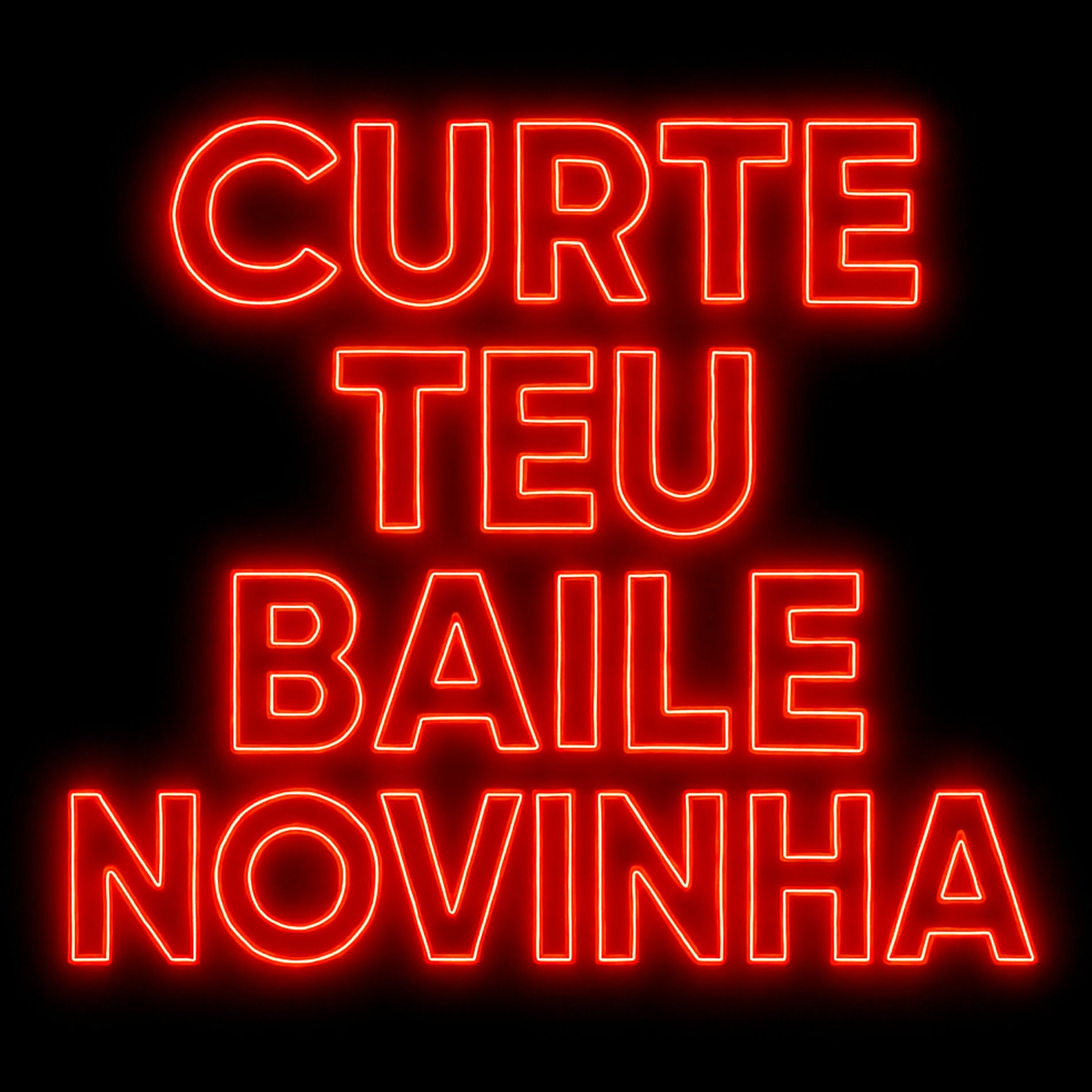 Album cover of Curte Teu Baile Novinha