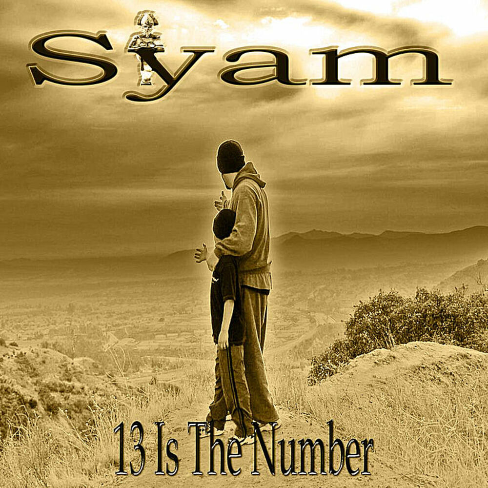Picture of 13 Is the Number