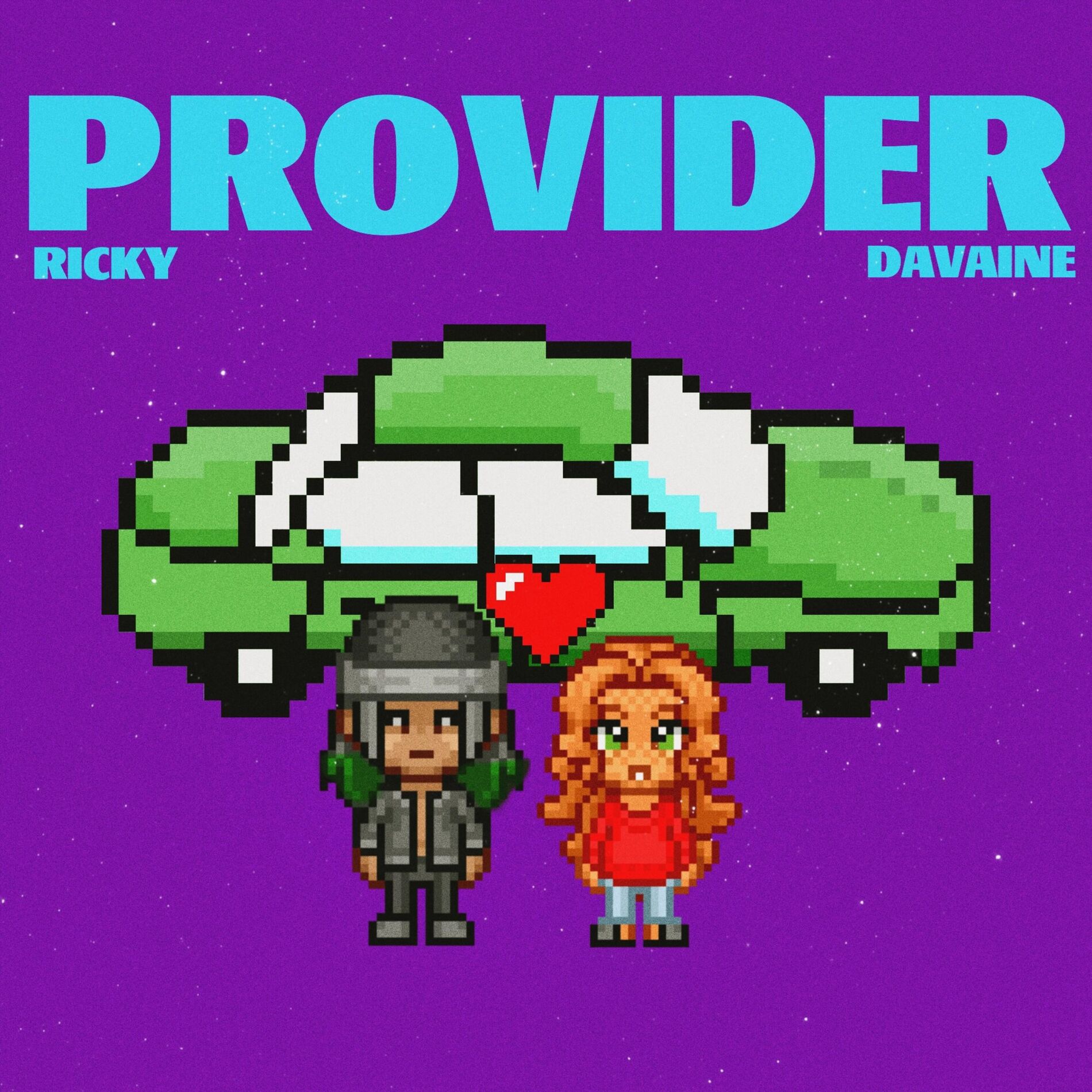 Album cover of Provider
