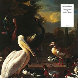 Cover of Great Spans of Muddy Time