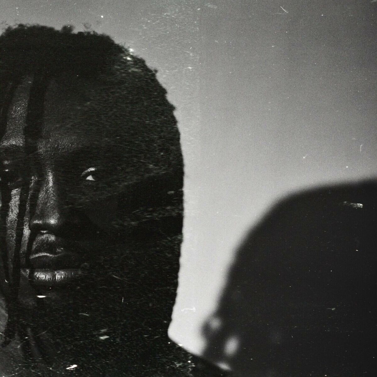 Album cover of PANTHER