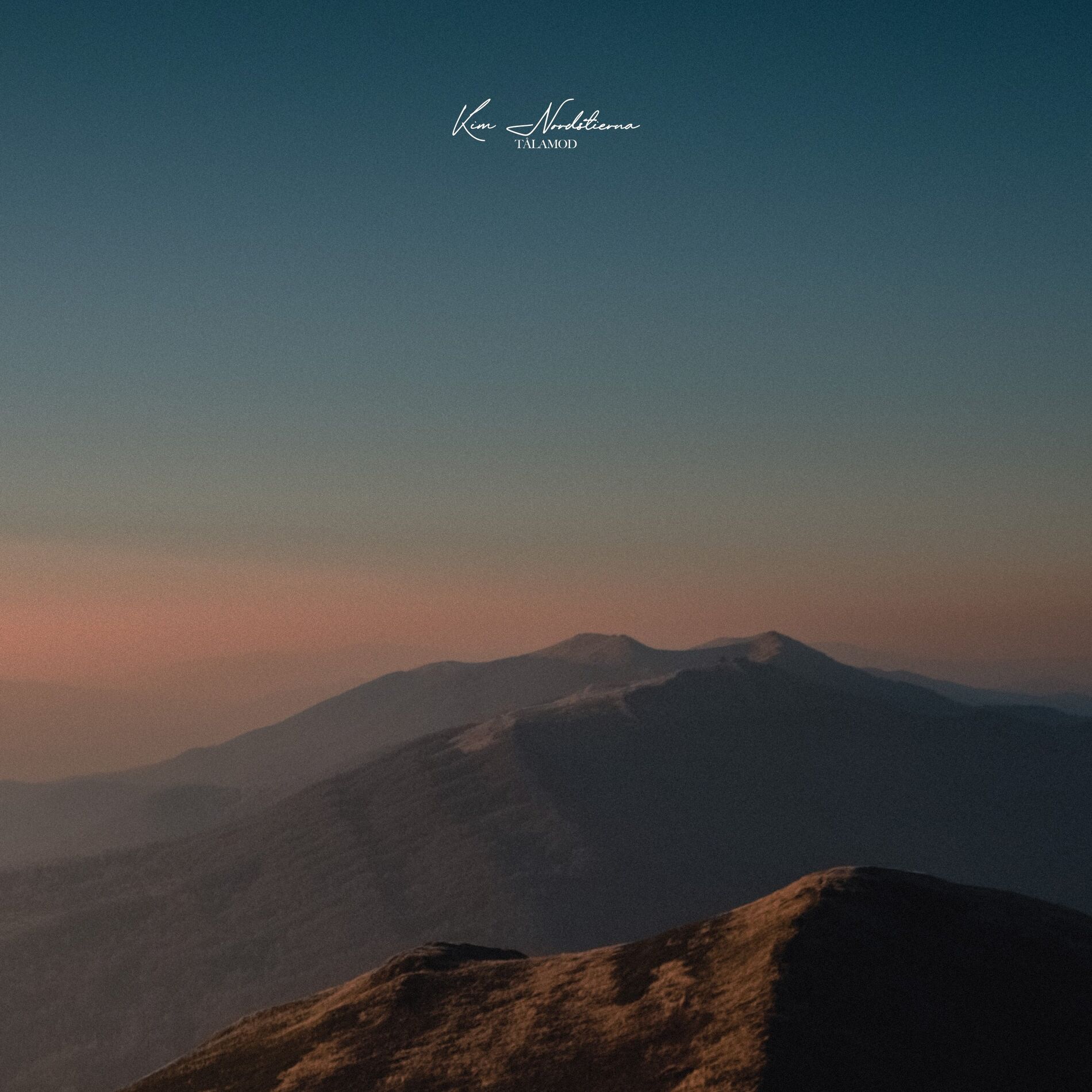 Album cover of Tålamod