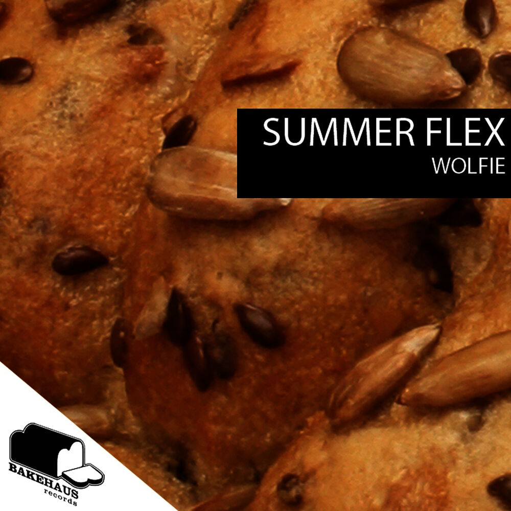 Picture of Summer Flex EP