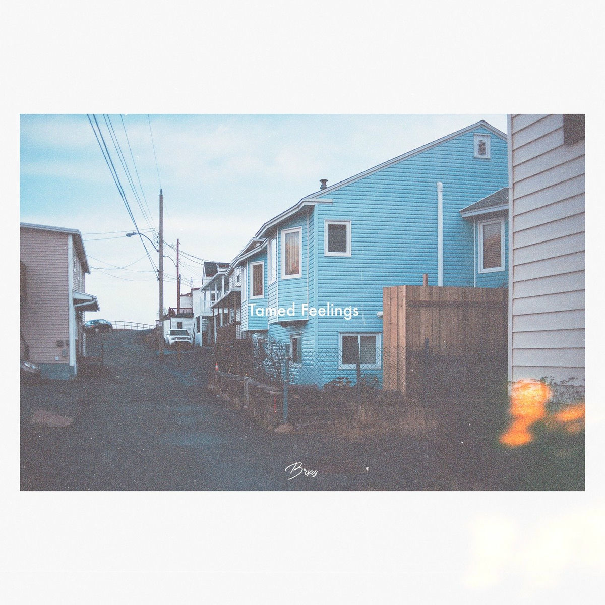 Album cover of Tamed Feelings