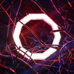 Cover of Reflections