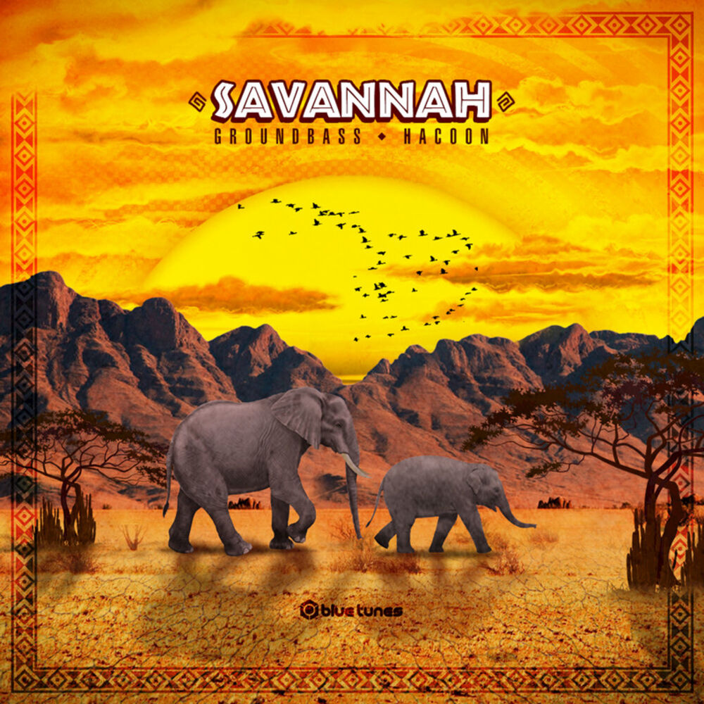 Picture of Savannah