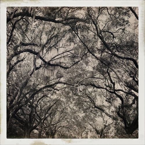 All That I Know (Memories) sleeve