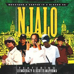 Cover of Njalo