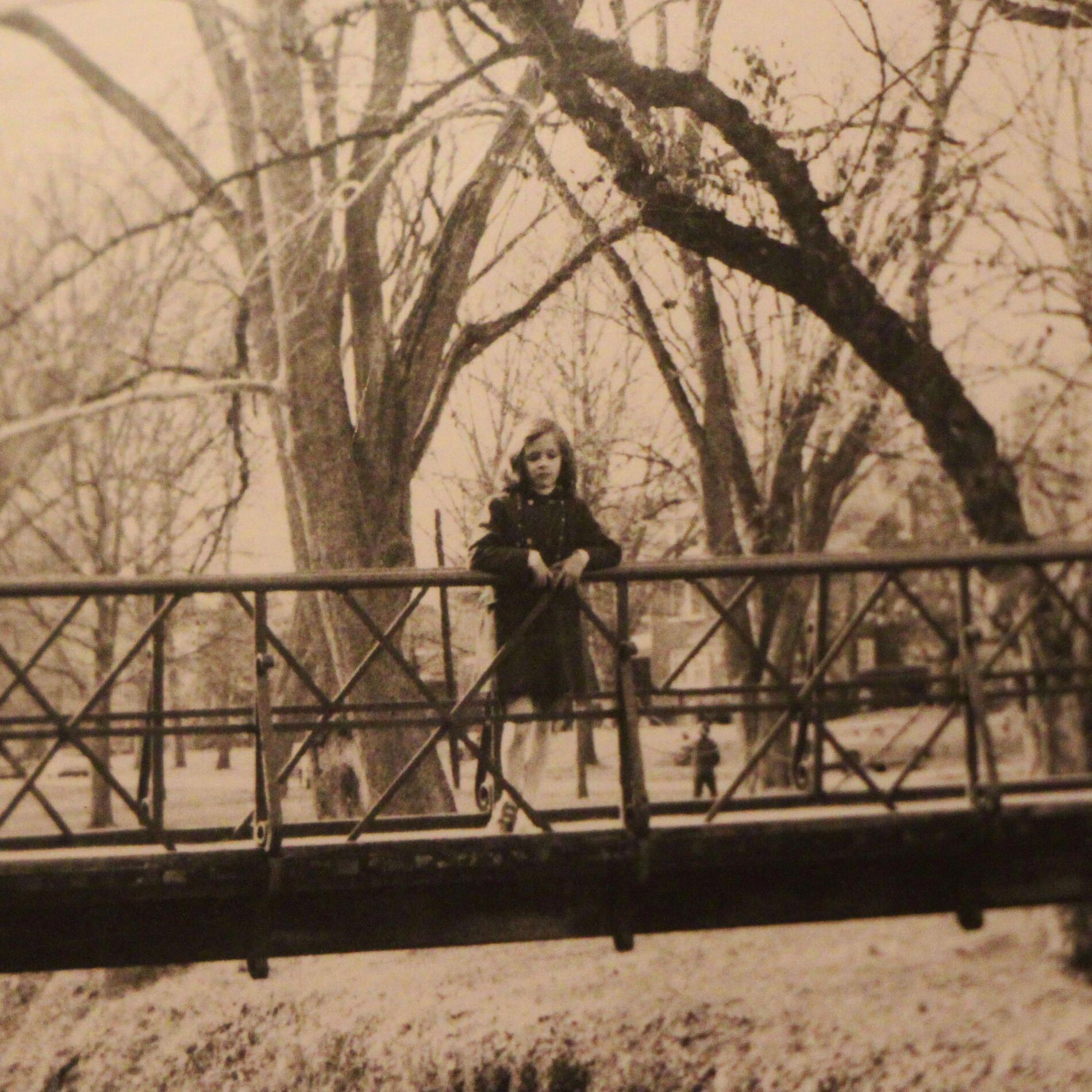 Album cover of Acacia grove