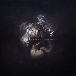 Cover of Augur Nox
