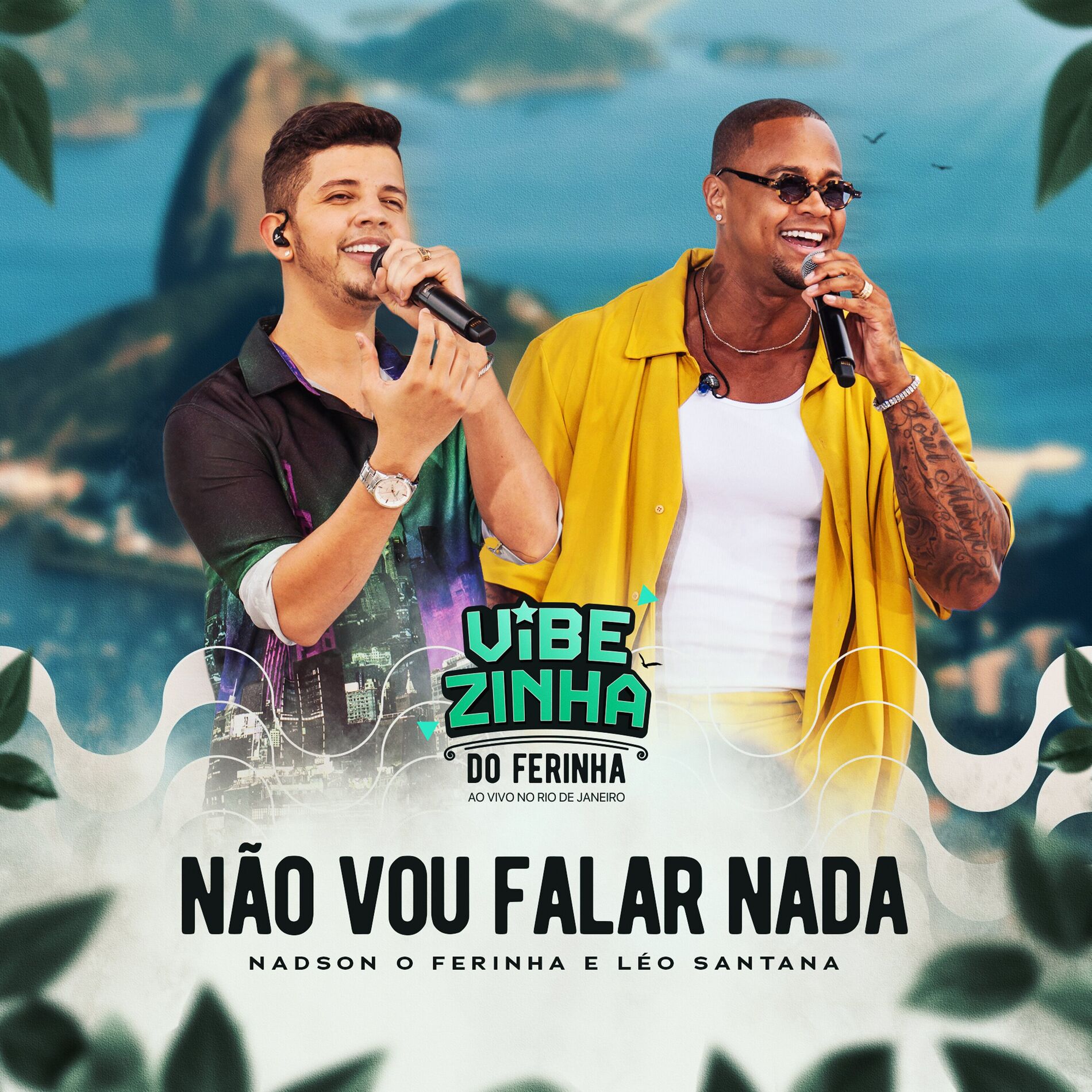 Album picture of Não Vou Falar Nada (Vibezinha do Ferinha)