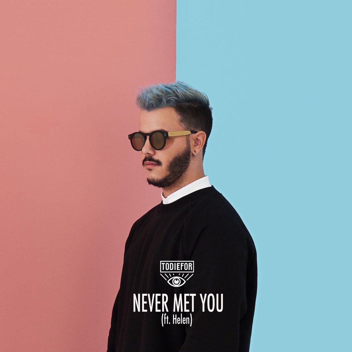 Album cover of Never Met You (feat. Helen)