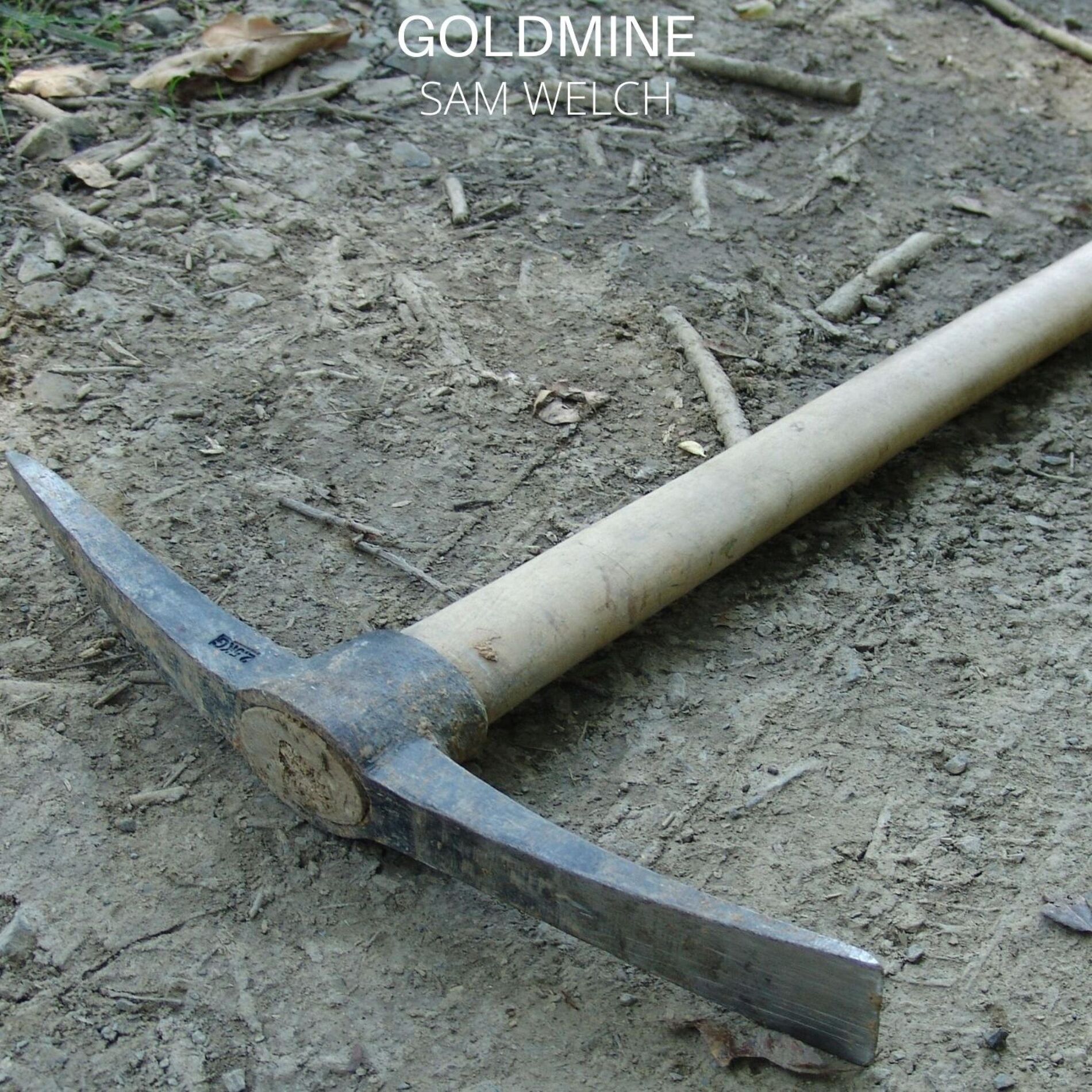 Album cover of Goldmine