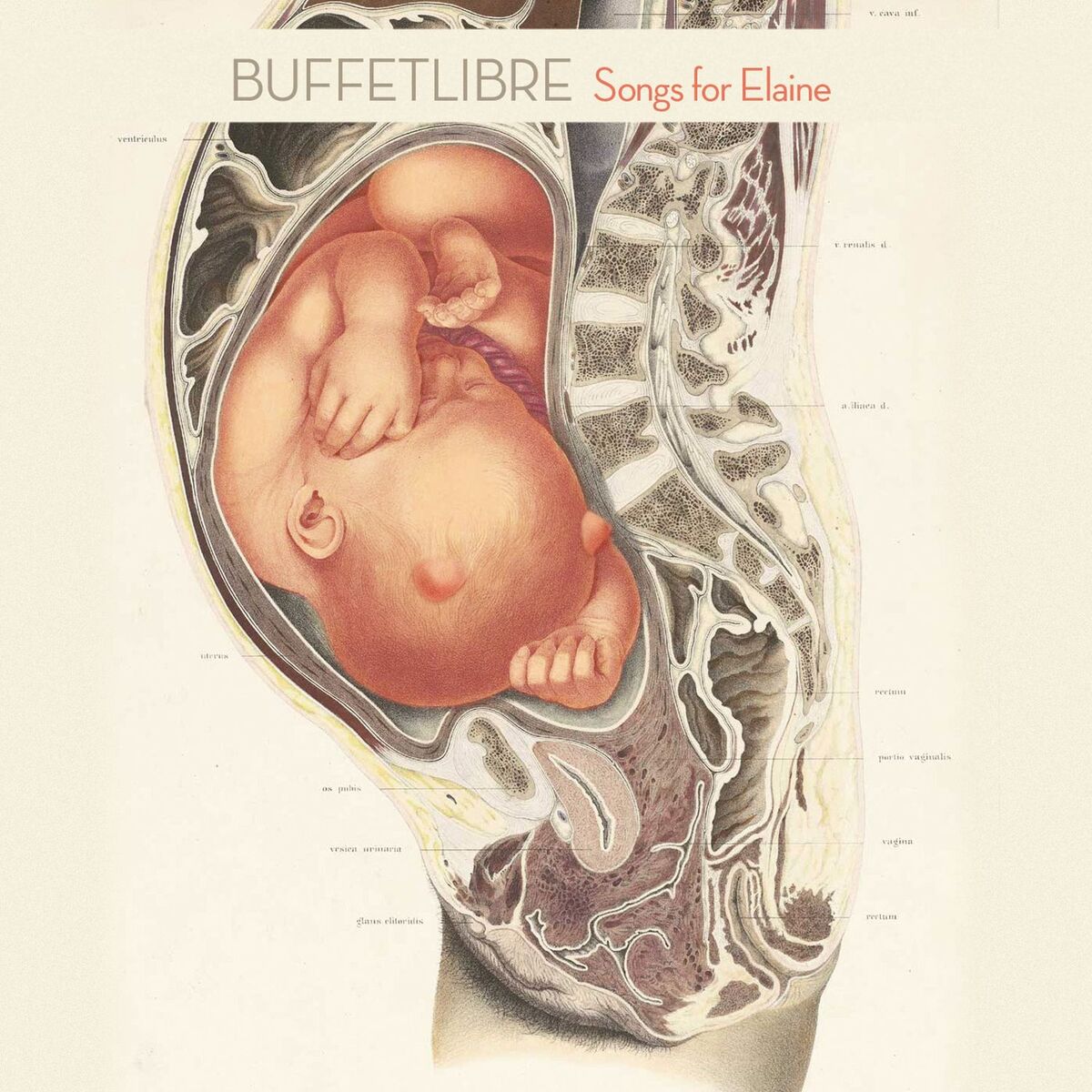 Album cover of Songs for Elaine