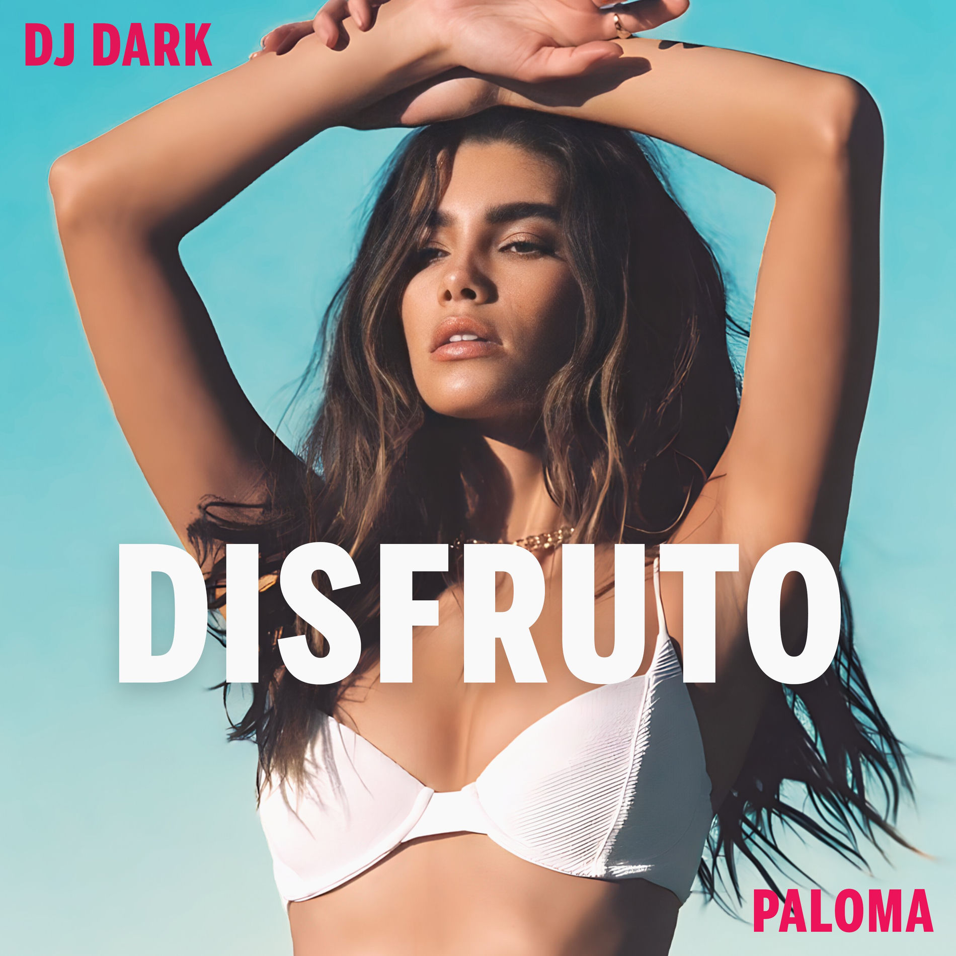 Album cover of Disfruto