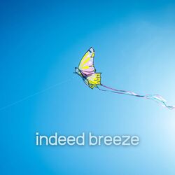 Cover of Indeed Breeze (Inner Sense)