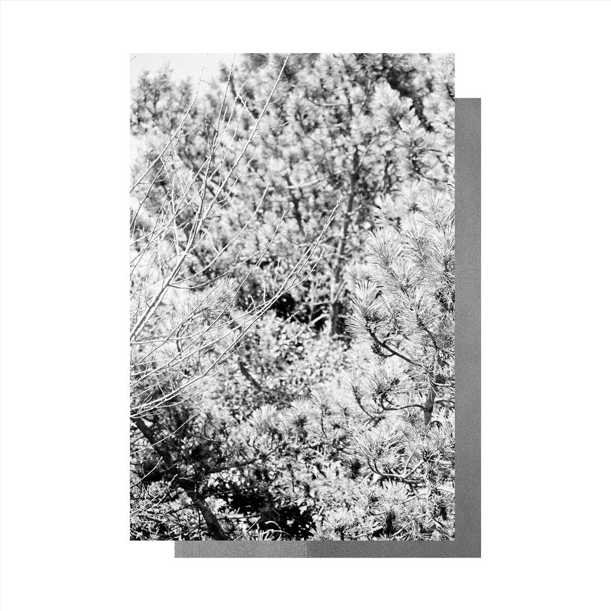 Album cover of loveontheoutside