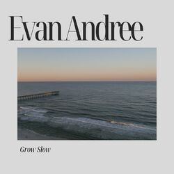Cover of Grow Slow
