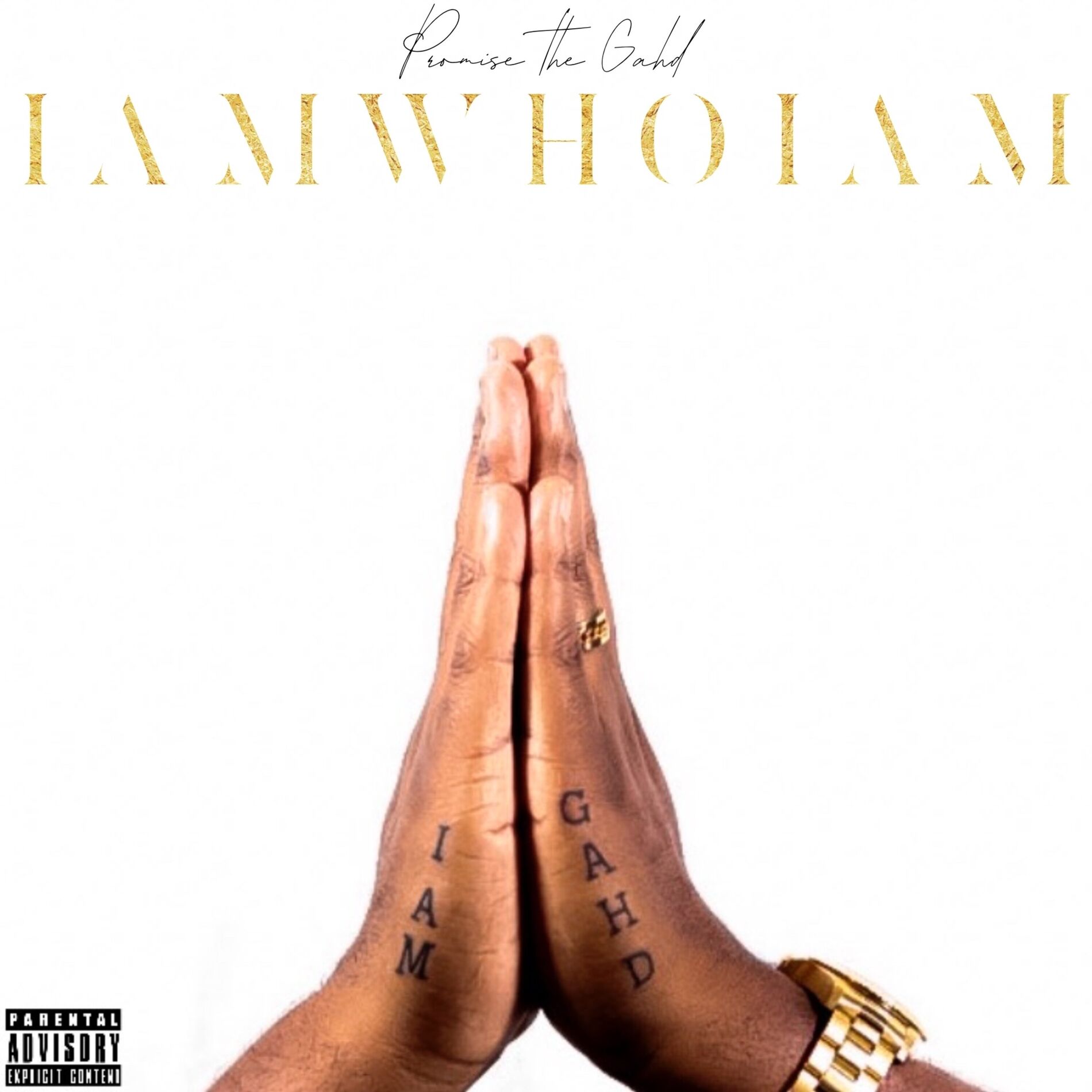 Album cover of I Am Who I Am
