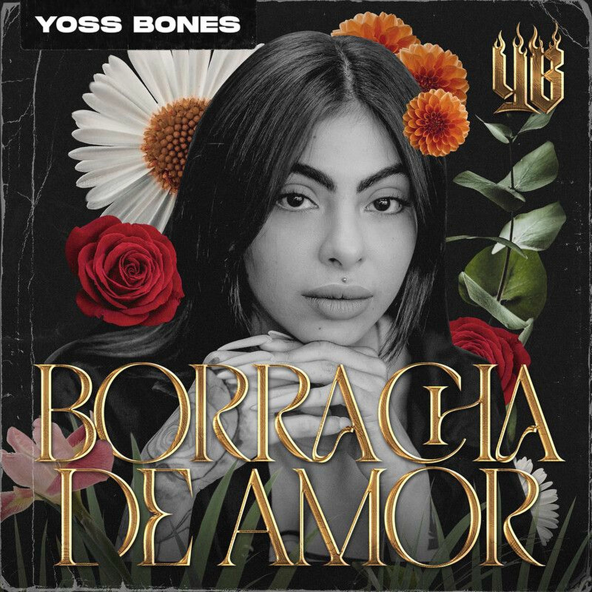 Album cover of Borracha De Amor