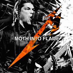 Cover of Moth Into Flame (Live)