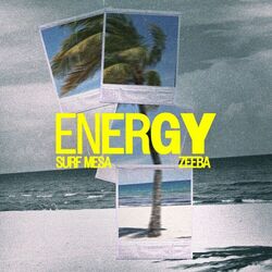music cover