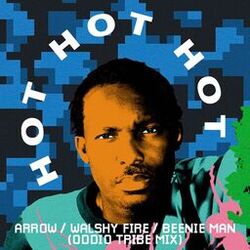 Cover of Hot Hot Hot (Oddio Tribe Remix)
