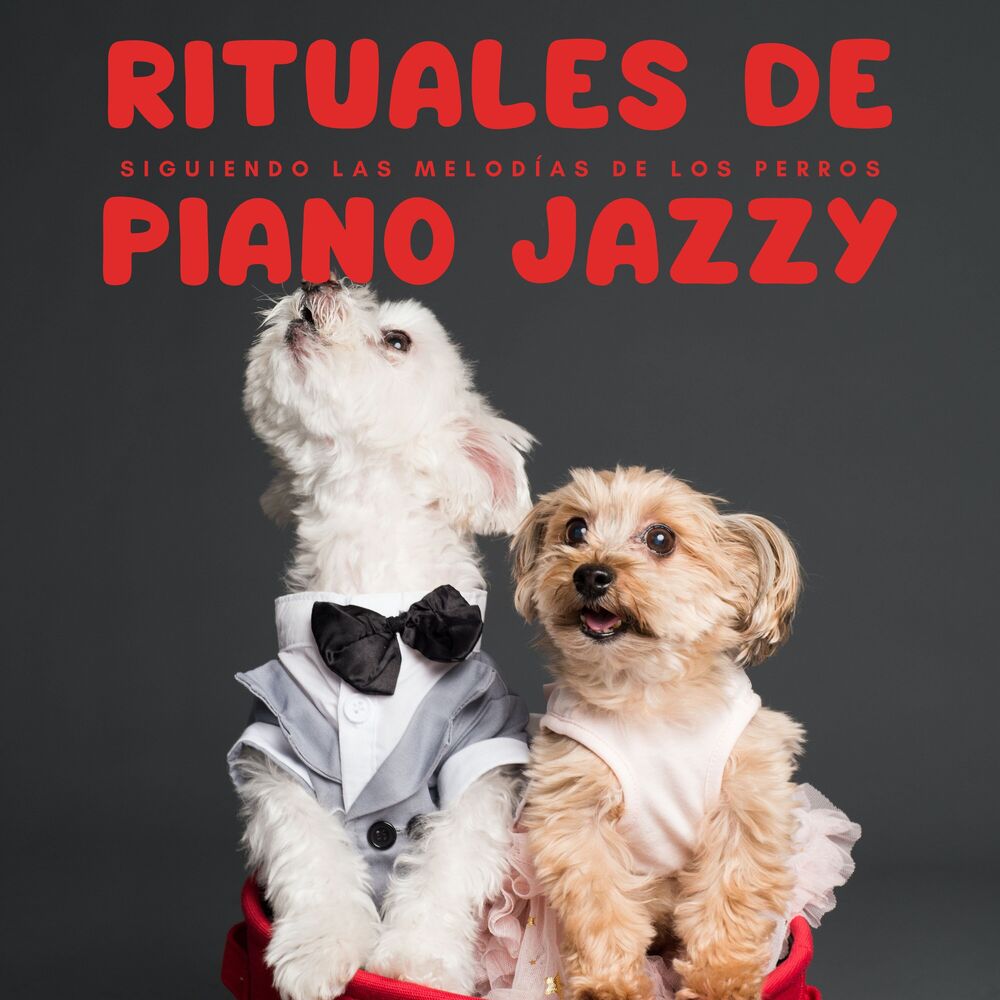 Picture of Rituales De Piano Jazzy: Siguiendo Las Melodías De Los Perros