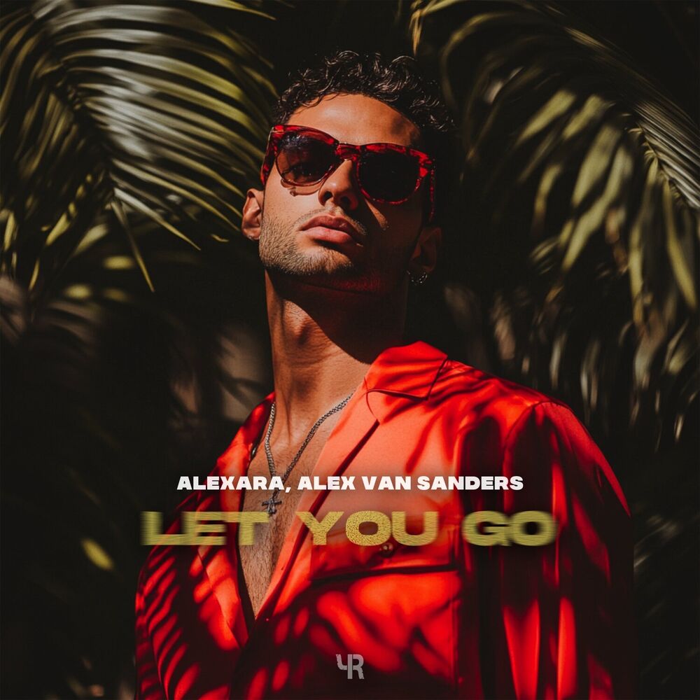 Picture of Let You Go