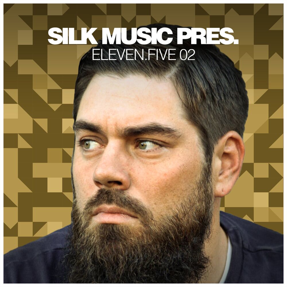 Picture of Silk Music Pres. eleven.five 02