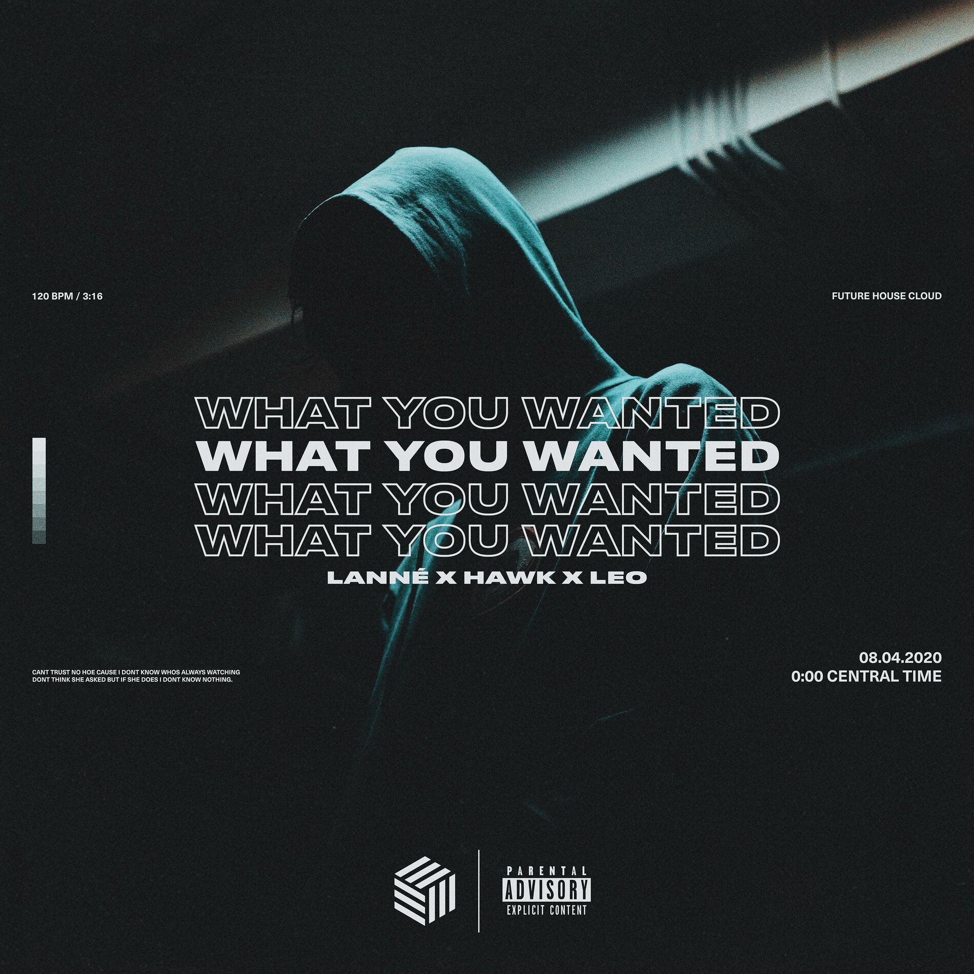 Album cover of What You Wanted