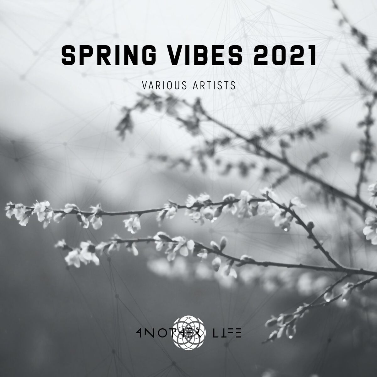 Album cover of Spring Vibes 2021