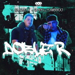 Cover of Doble R
