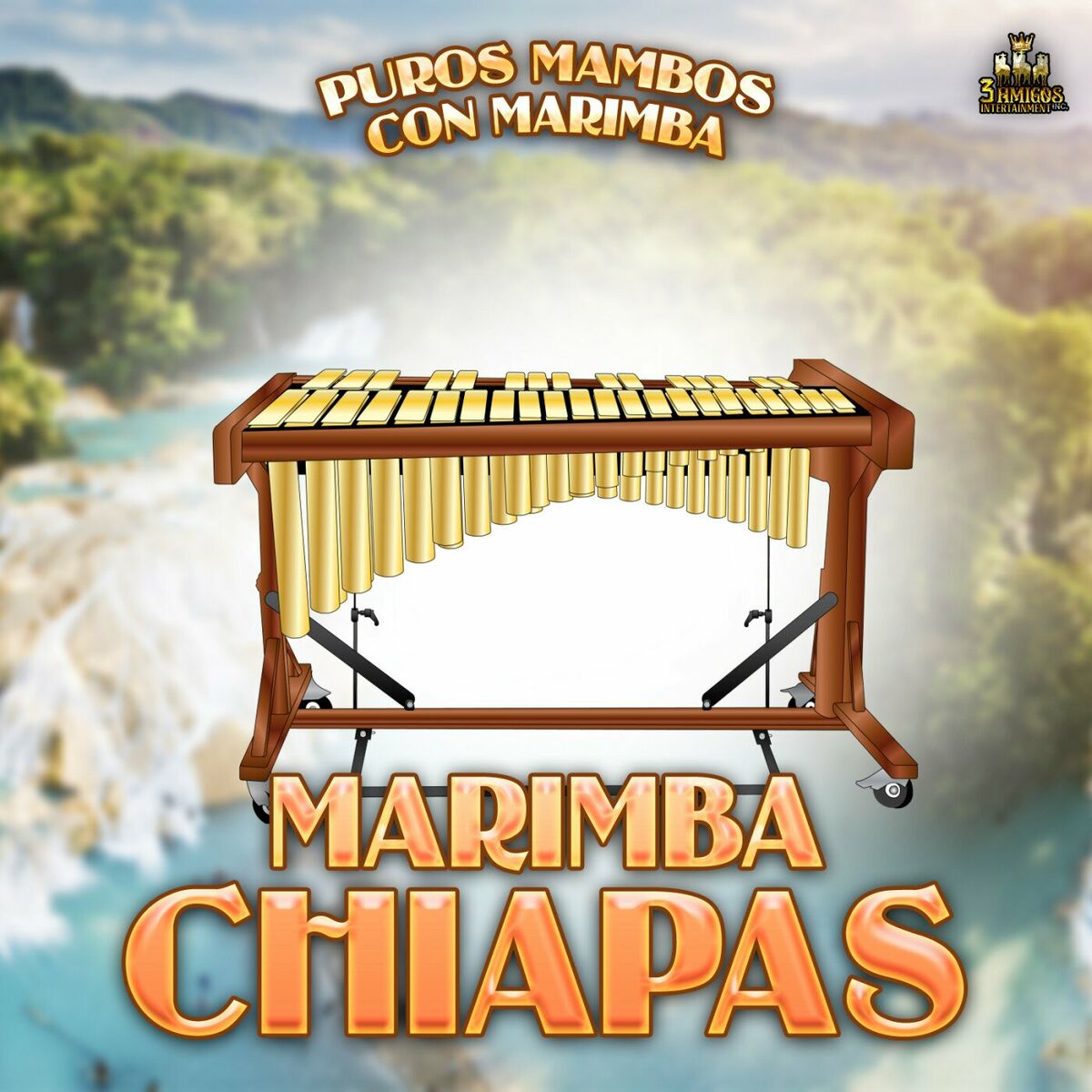 Album cover of Puros Mambos Con Marimba