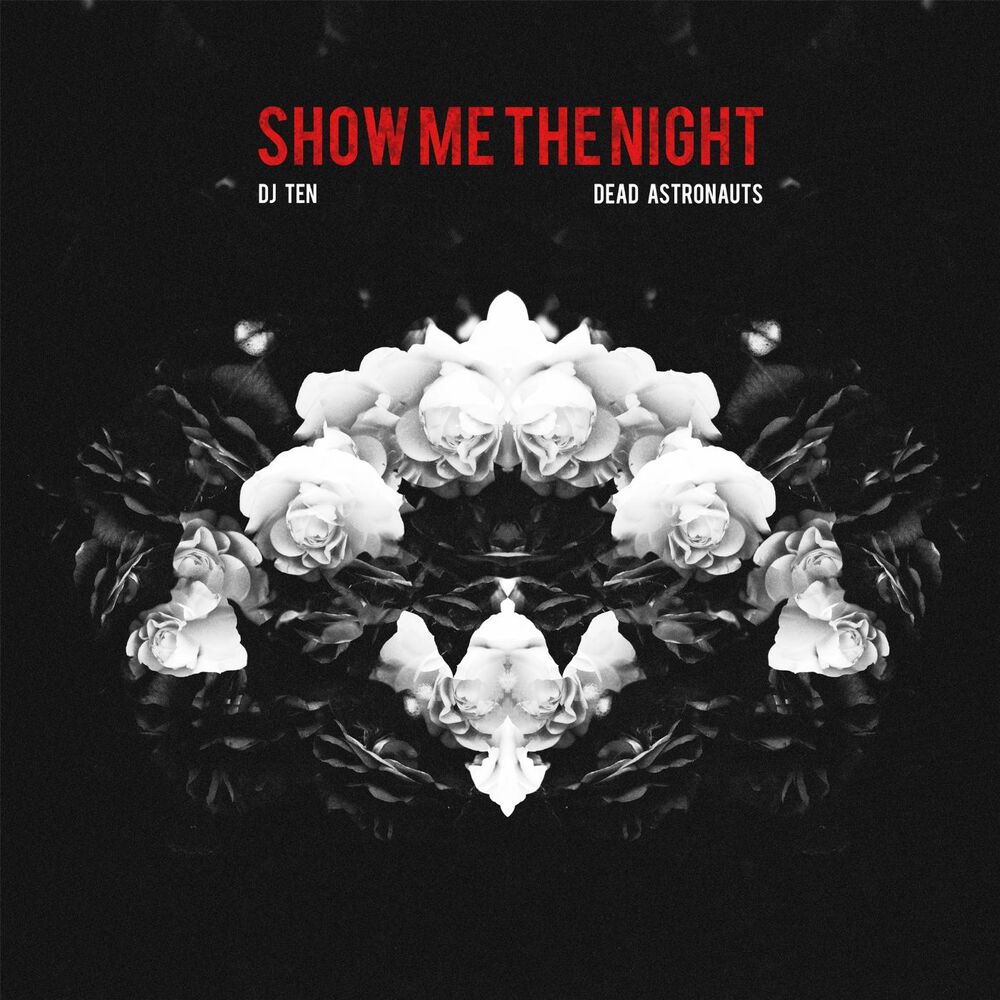 Picture of Show Me the Night (feat. Dead Astronauts)