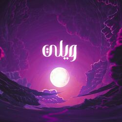 Cover of ويلي