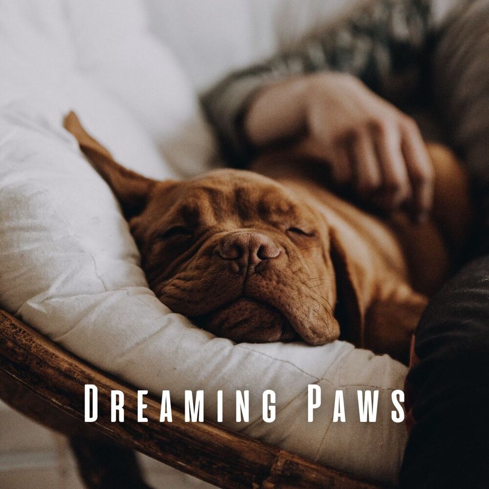 Picture of Dreaming Paws: Ambient Music for Dogs' Dreams
