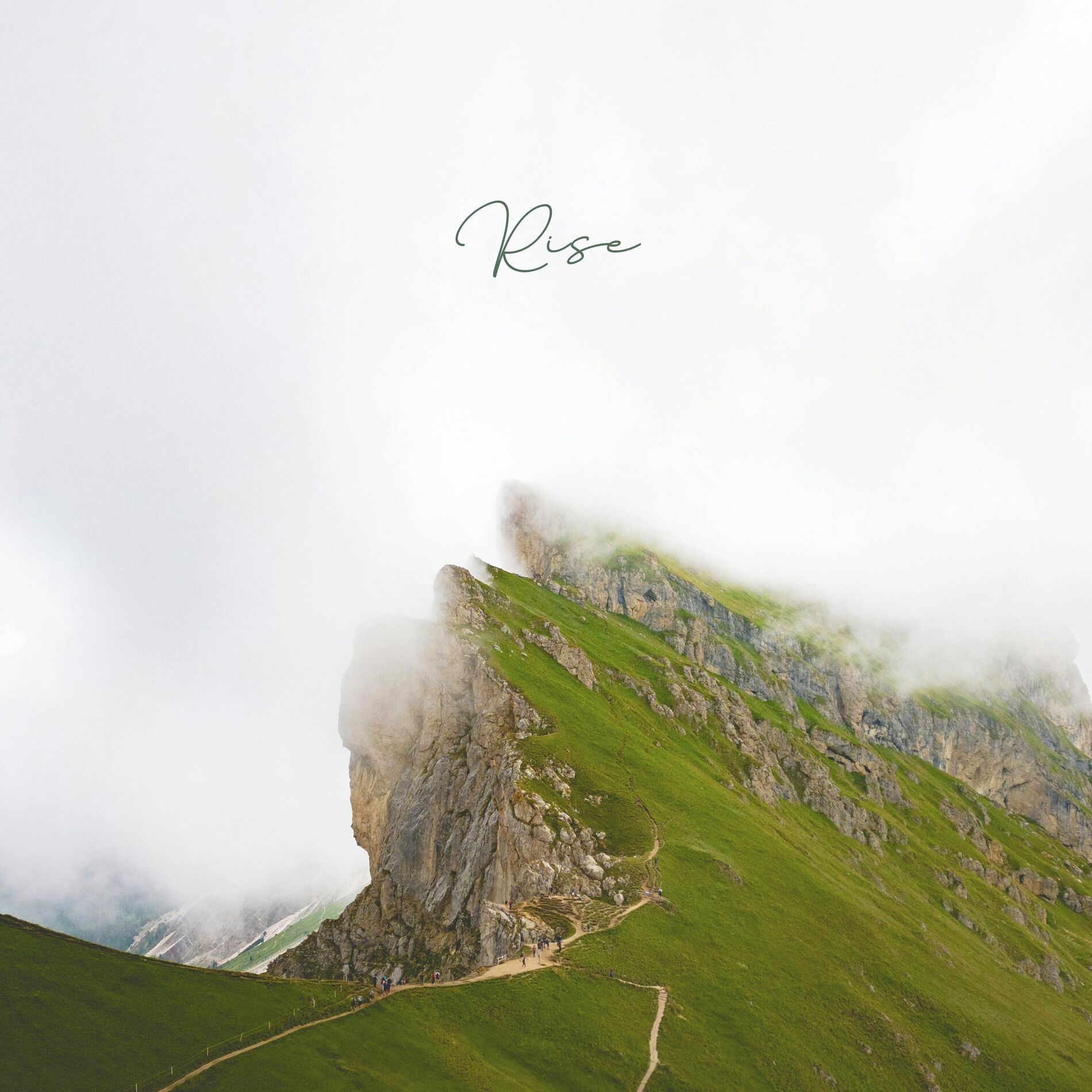 Album cover of Rise