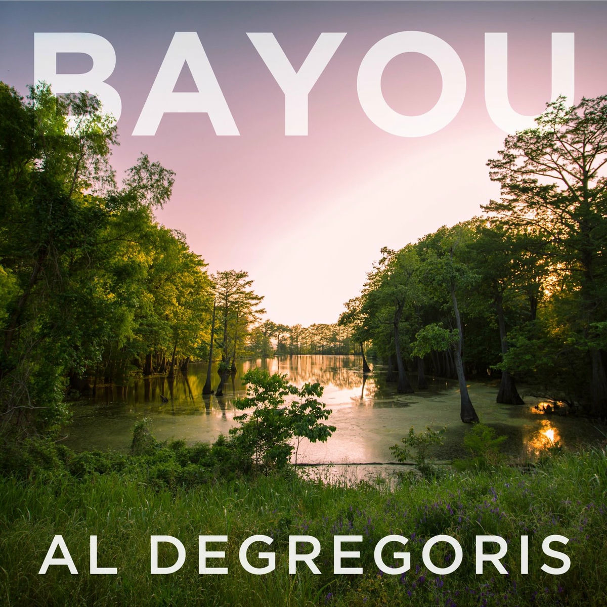 Album cover of Bayou