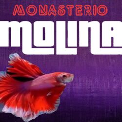 Cover of MONASTERIO