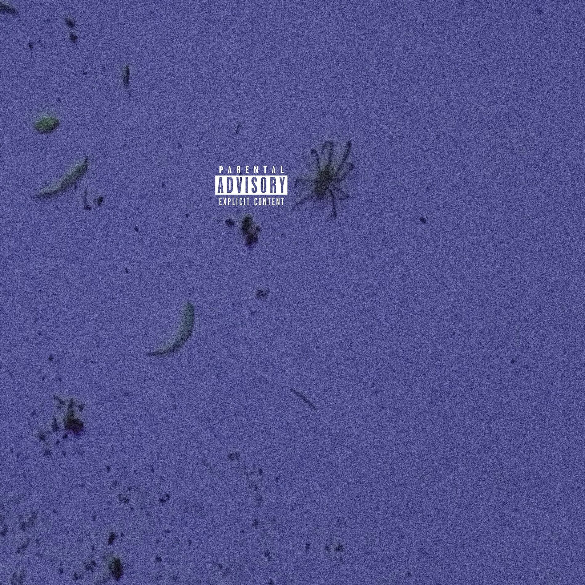 Album cover of Edderkop