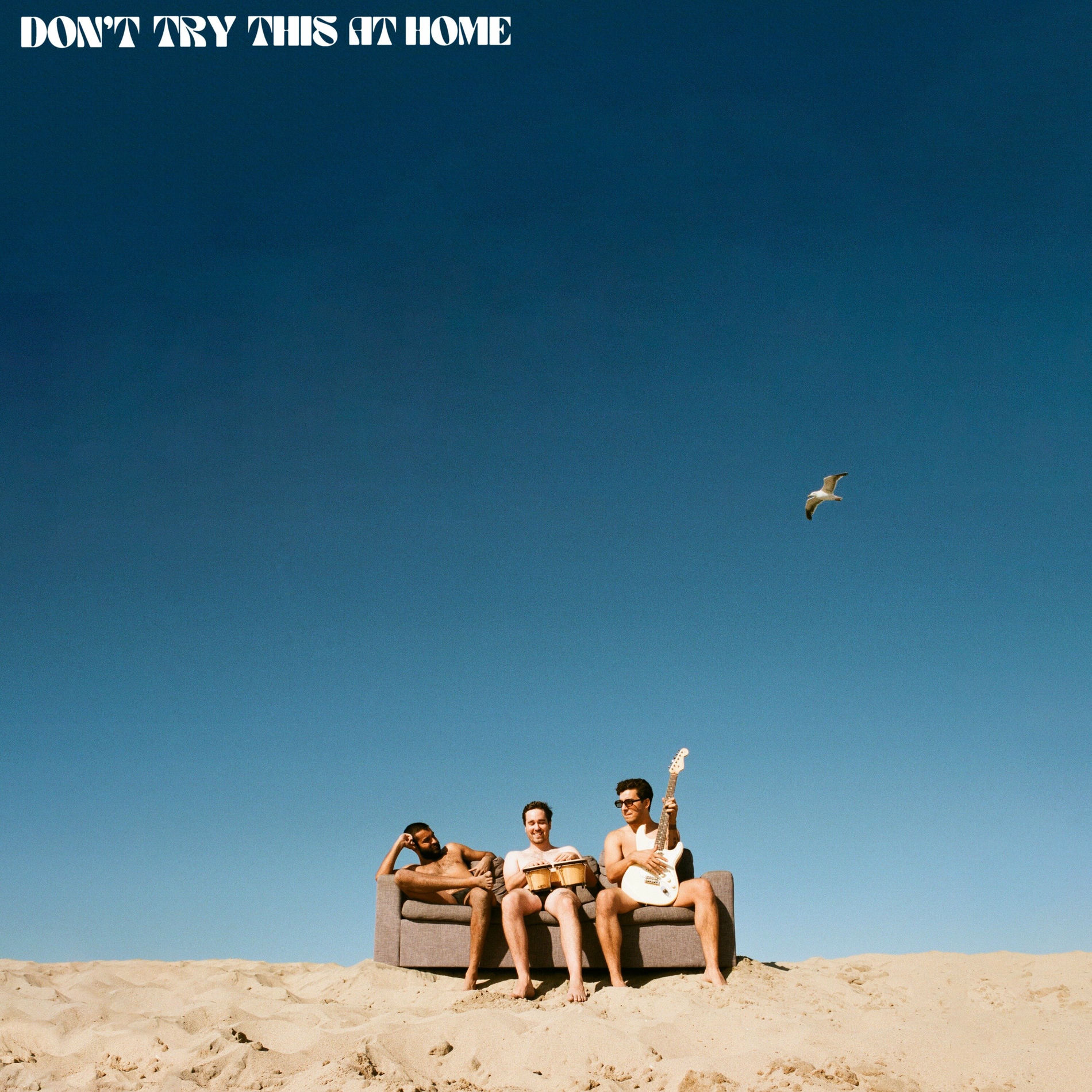 Album cover of Don't Try This At Home