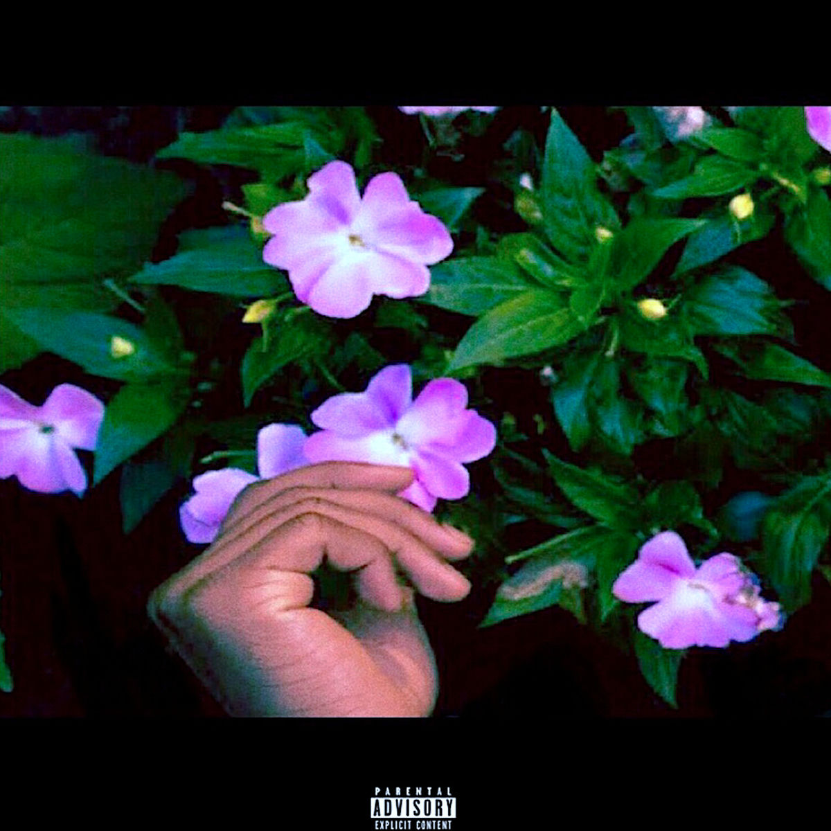Album cover of Radiator