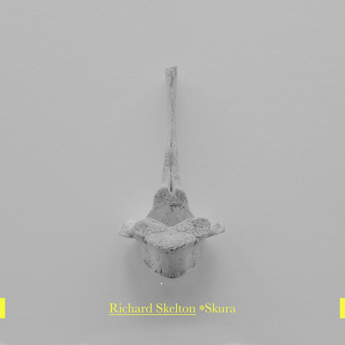 Album cover of *Skura