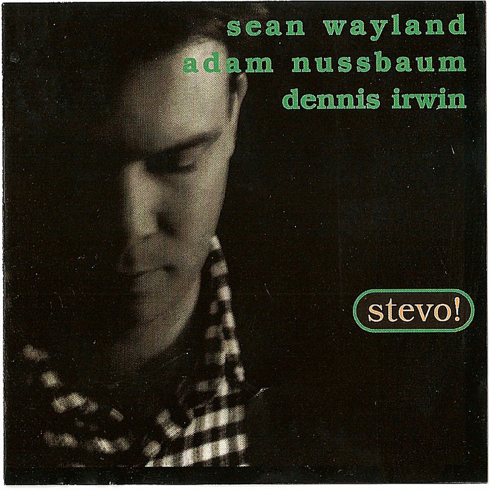 Album artwork for Suzanne Vega by Sean Wayland