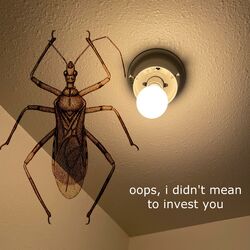 Cover of oops, i didnt mean to infest you