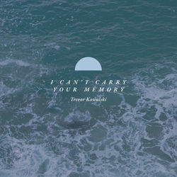 I Can't Carry Your Memory